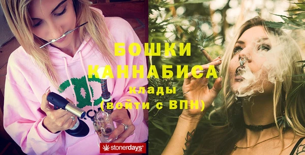 сатива Зеленокумск