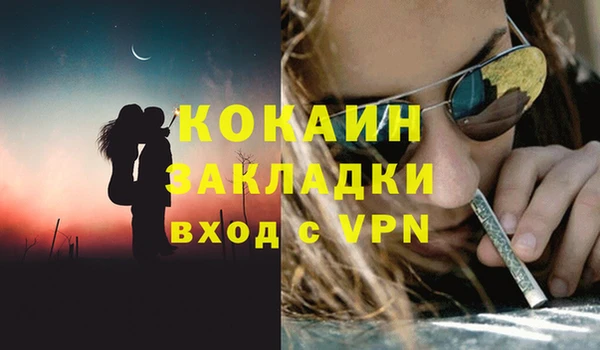 сатива Зеленокумск